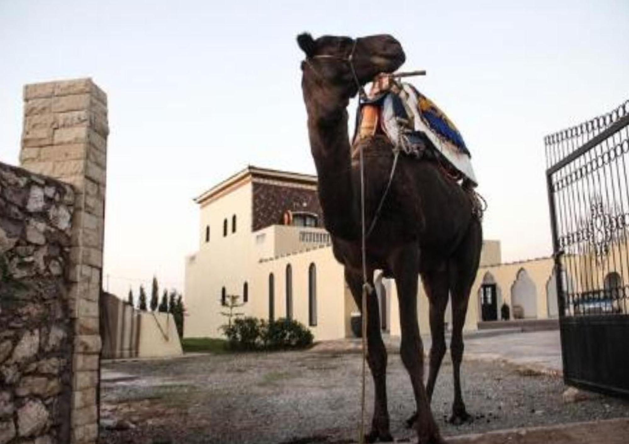Отель Sidi Kaouki Ayt Karoum Экстерьер фото